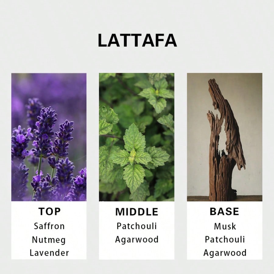 Lattafa Badee Al Oud For Glory - Perfume Fragrance Free ulasan dan harga